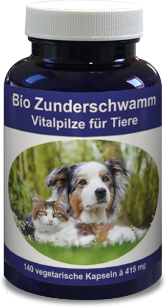 Bio Zunderschwamm 100g Dose